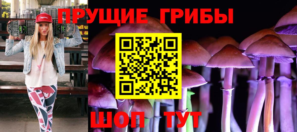 Галлюциногенные грибы Cubensis Тихвин