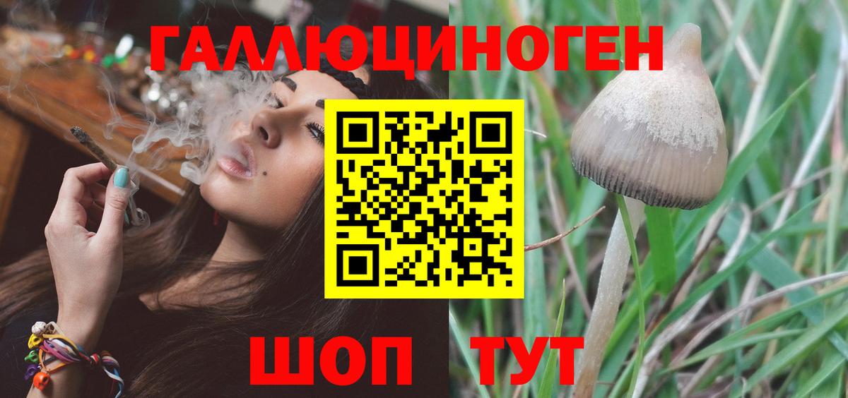 Галлюциногенные грибы мухоморы  сколько стоит  Тихвин  Вход с VPN 